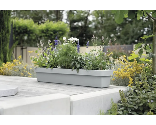 Rechteckiger Pflanzkasten mit verschiedenen Pflanzen auf einer Terrasse.