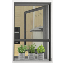 Moustiquaire avec herbes aromatiques dans la fenêtre