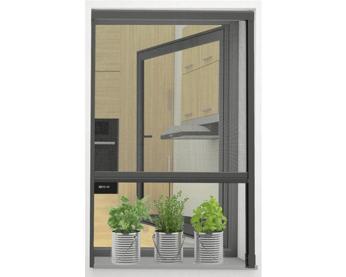 Moustiquaire avec herbes aromatiques dans la fenêtre