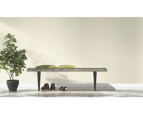 Helle Szene mit Bank, Kissen, Zimmerpflanze und Schuhen vor einer Wand