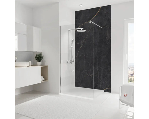 Salle de bain lumineuse avec paroi de douche, lavabo et mur en marbre noir