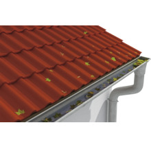 Toit avec gouttière et feuilles