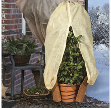 Plantes avec voile d'hivernage et paillasson en coco à l'extérieur