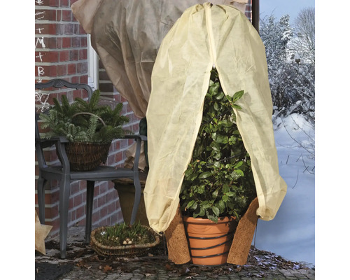 Plantes avec voile d'hivernage et paillasson en coco à l'extérieur