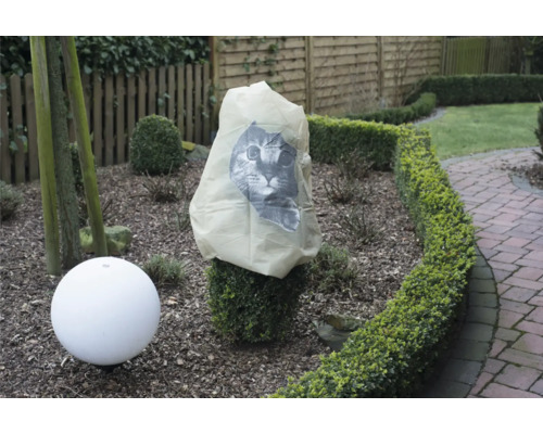 Scène de jardin avec housse de protection pour plantes et luminaire de jardin