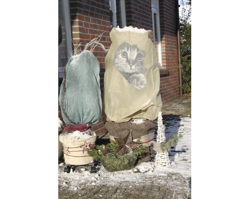 Scène de jardin hivernale avec des pots de fleurs et des housses de protection hivernale, dont une avec un motif de chat