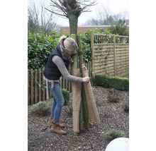Une femme protège un arbre du gel avec du jute dans le jardin.