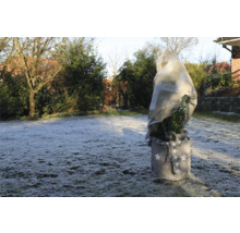 Plante en pot avec voile d'hivernage et sac de plantation dans le jardin.