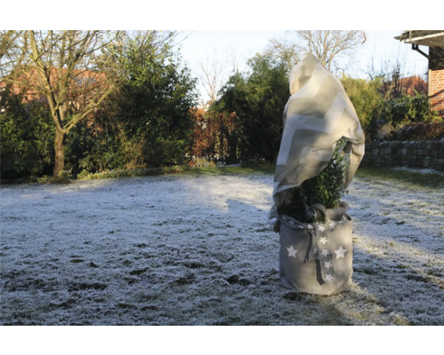 Plante en pot avec voile d'hivernage et sac de plantation dans le jardin.