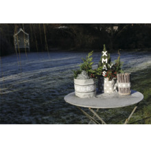 Décoration de jardin de Noël avec des plantes en pots en tissu sur une table