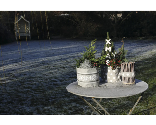 Décoration de jardin de Noël avec des plantes en pots en tissu sur une table