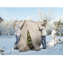 Deux personnes installent une housse d'hivernage pour plantes dans le jardin d'hiver