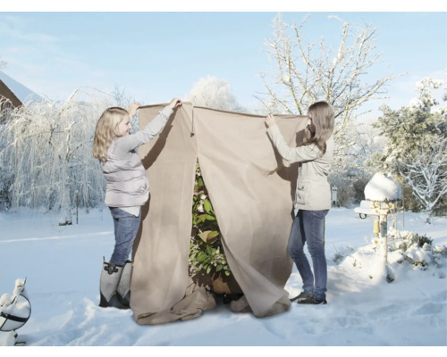 Deux personnes installent une housse d'hivernage pour plantes dans le jardin d'hiver