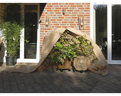 Jardin avec des plantes en pot sous une housse de protection