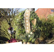 Couronne de Noël décorative avec ruban et étoiles pour une décoration festive