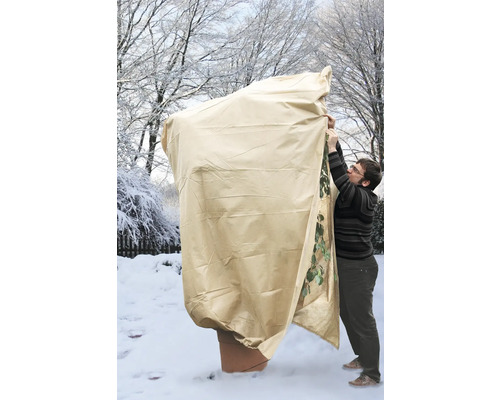 Housse de protection des plantes tirée sur une plante en pot en hiver