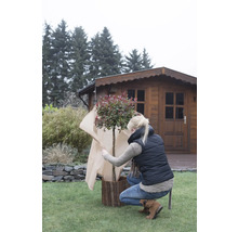 Une femme protège un arbre dans le jardin avec un voile de protection.