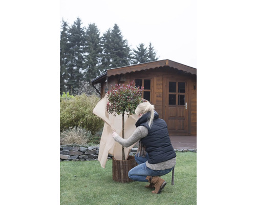 Une femme protège un arbre dans le jardin avec un voile de protection.