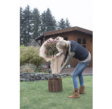 Une femme manipule un arbuste emballé et une bordure de parterre dans le jardin.