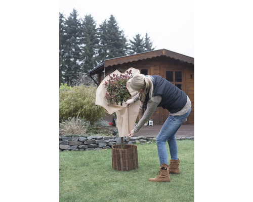 Une femme manipule un arbuste emballé et une bordure de parterre dans le jardin.