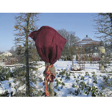 Arbre emballé dans un jardin d'hiver avec un pavillon