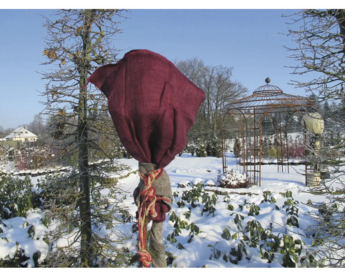 Arbre emballé dans un jardin d'hiver avec un pavillon
