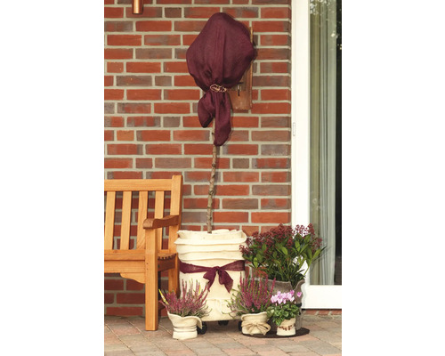 Espace de jardin décoratif avec arbre en pot, banc et diverses plantes