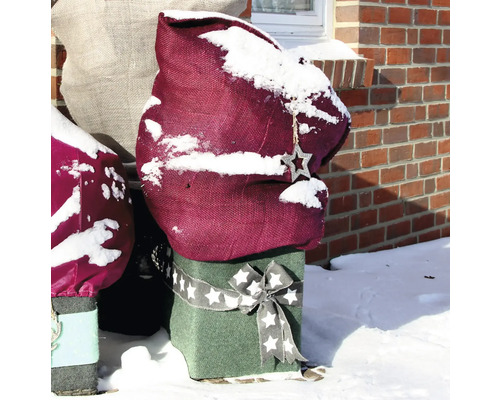 Housse de protection des plantes en hiver avec pendentif étoile et couverture de neige