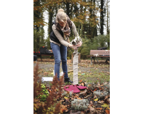 Une femme travaille dans le jardin sur une protection hivernale pour rosier sur tige.