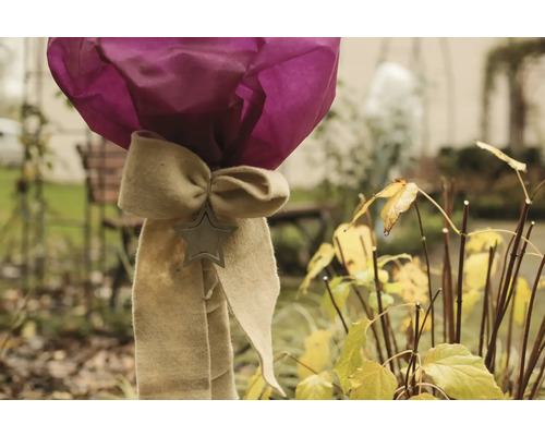 Décoration avec nœud et pendentif étoile dans le jardin