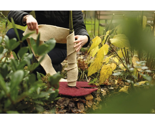 Personne enveloppe un arbre avec une protection hivernale