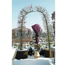 Jardin d'hiver avec arche d'arbre et protection des plantes