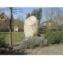 Vue du jardin avec housse de protection hivernale pour plantes