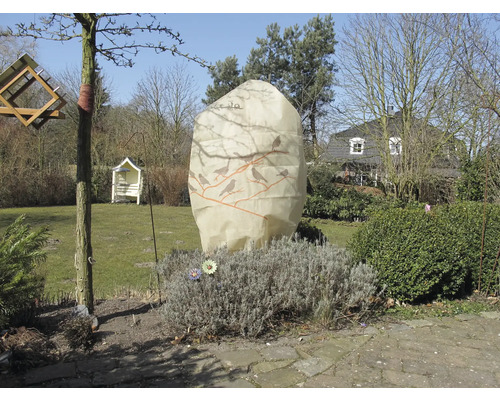 Vue du jardin avec housse de protection hivernale pour plantes