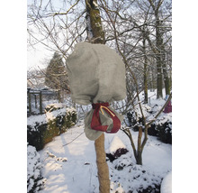 Paysage hivernal avec tronc d'arbre et couronne enveloppés dans des housses de protection