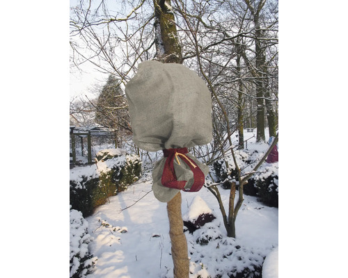 Paysage hivernal avec tronc d'arbre et couronne enveloppés dans des housses de protection