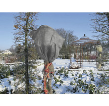 Paysage hivernal avec un arbre protégé par une toile non tissée contre le gel