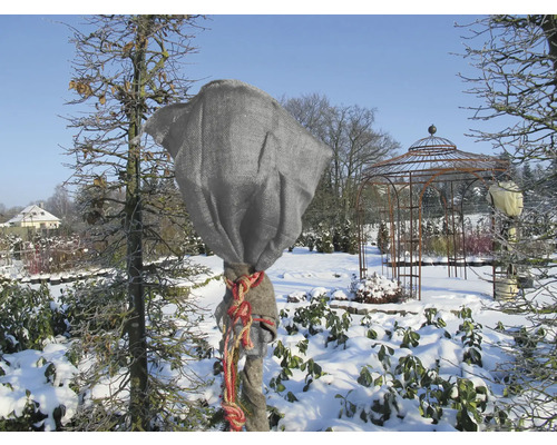 Paysage hivernal avec un arbre protégé par une toile non tissée contre le gel