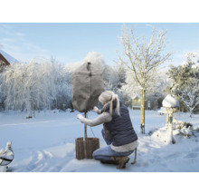 Frau befestigt Winterschutzhülle an Pflanze im Garten