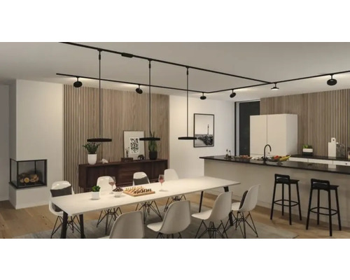 Espace de vie avec table à manger, chaises, kitchenette et système de rails noir avec spots et suspensions