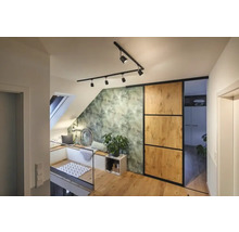 Lumineux appartement mansardé avec fenêtre de toit, coin salon, papier peint à feuilles vertes, porte coulissante et parquet.