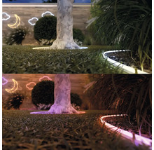 Aménagement paysager de jardin avec pelouse, arbres, arbustes et éclairage décoratif