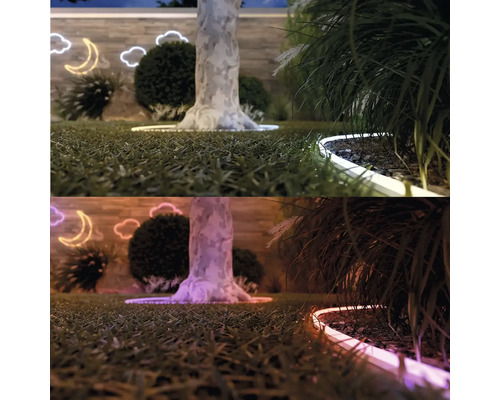 Aménagement paysager de jardin avec pelouse, arbres, arbustes et éclairage décoratif