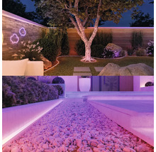 Jardin illuminé avec arbre, pelouse, gravier décoratif et mur de pierre