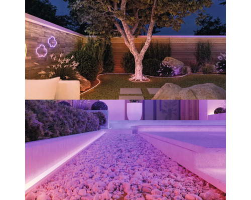 Jardin illuminé avec arbre, pelouse, gravier décoratif et mur de pierre