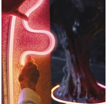 Un tube lumineux au néon est fixé au mur et placé autour d'un arbre.