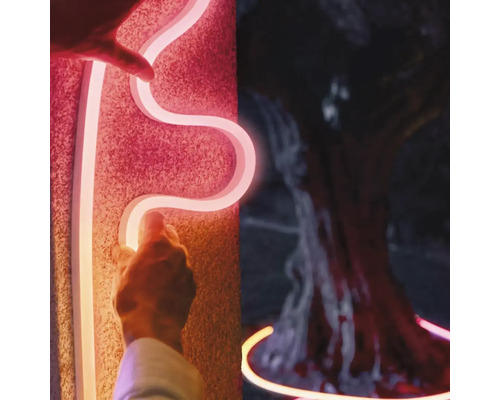 Un tube lumineux au néon est fixé au mur et placé autour d'un arbre.