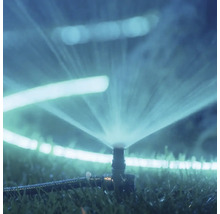 Arrosage du gazon avec arroseur de gazon dans le jardin