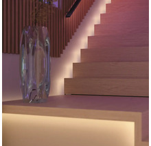 Scène avec escalier illuminé, objets de décoration et rampe d'escalier.