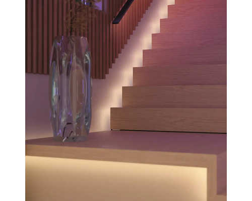 Escalier décoratif avec éclairage indirect et un vase